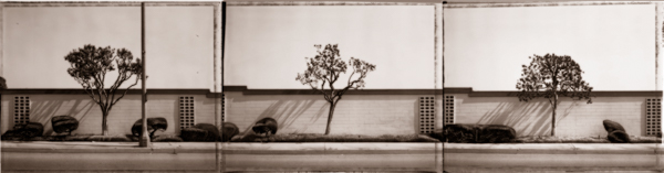 this image is one of Ann Mitchell's photgraphs from the American Triptych series
