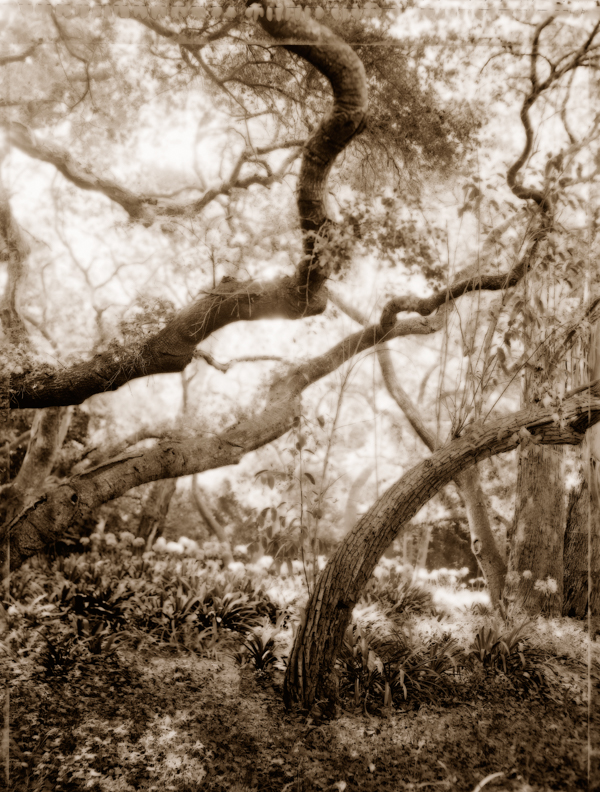 this image is one of Ann Mitchell's photgraphs from the Val Verde series