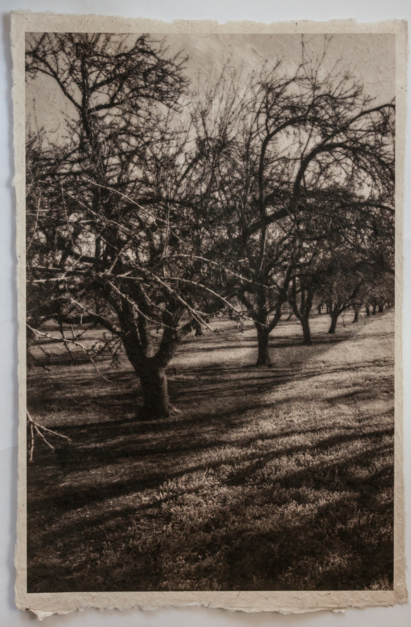this image is one of Ann Mitchell's photgraphs from the Winter's Light series