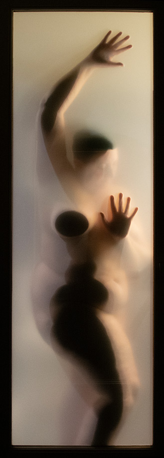 Photograph of a nude woman behind a paper screen in a hotel room by Kristine Schomaker