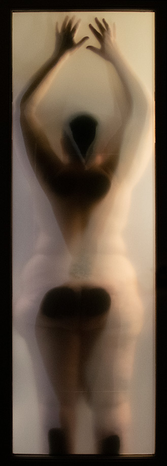 Photograph of a nude woman behind a paper screen in a hotel room by Kristine Schomaker