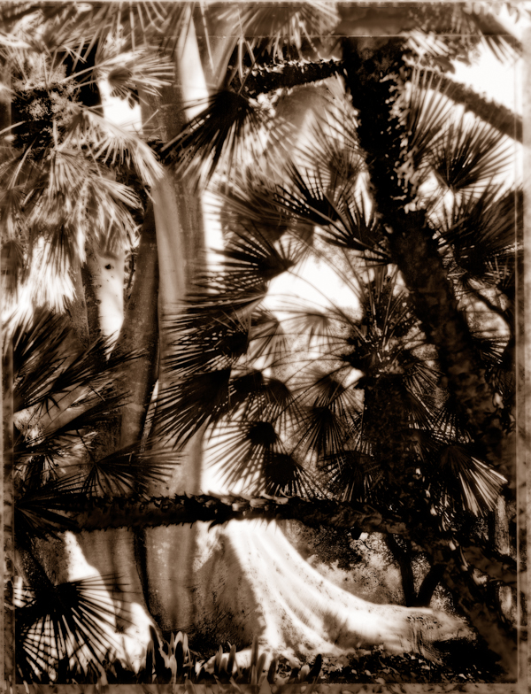 this image is one of Ann Mitchell's photgraphs from the Val Verde series