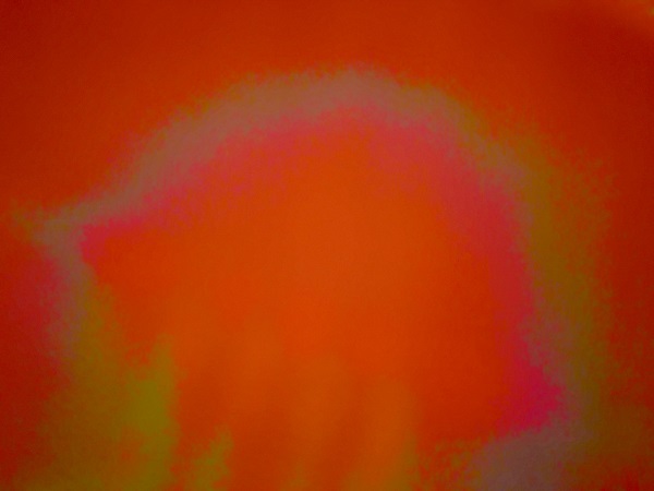 Image is of a photograph taken by accident in the pocket of artist, Dave van Hulsteyn's pants