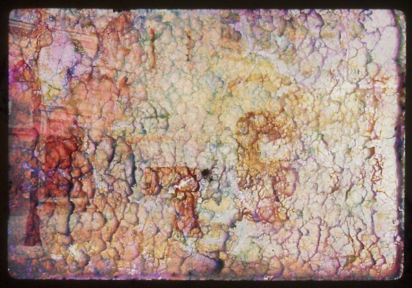 Digitized multicolor 35mm slide that appears to be an abstract image altered by mold