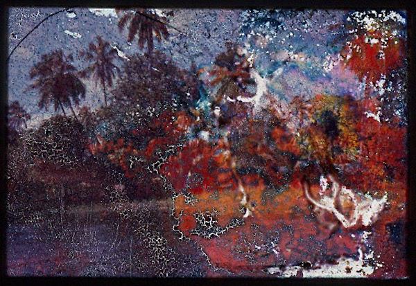 Digitized multicolor 35mm slide that appears to be an abstract image altered by mold